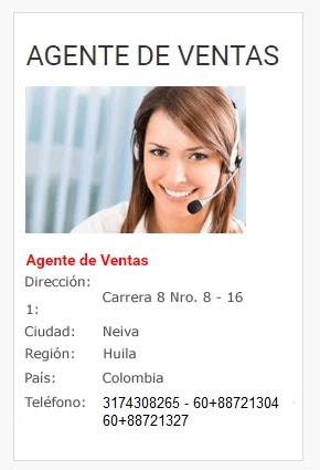 Agente de Ventas